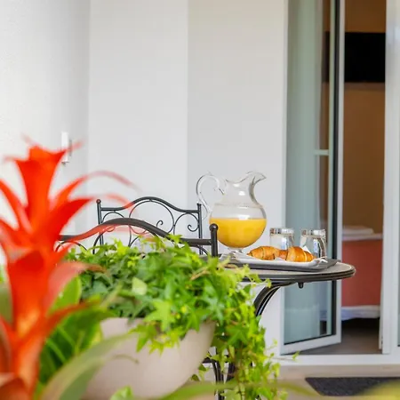 Euphoria - Elegance *